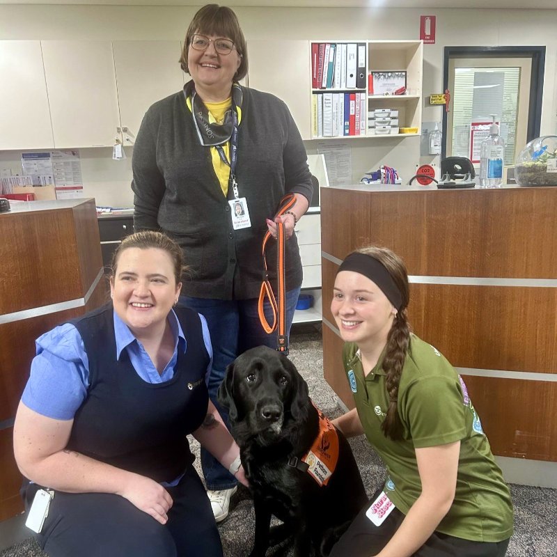 Michelle and Empower Assistance dog Choppa with St Andrews staff member